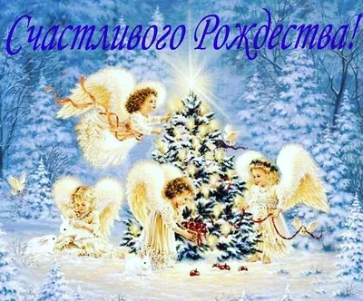 Предпосылка украшения рождества с приветствием праздника в итальянском `  Buone Feste `! Стоковое Фото - изображение насчитывающей сезон, праздники:  81503236