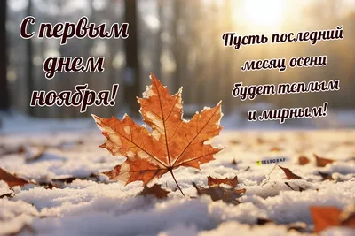 Открытки с днем рождения на 1 МЕСЯЦ ребенку мальчику и девочке