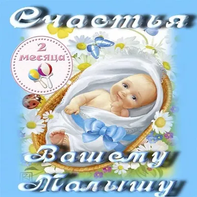 Поздравления на 2 месяца (31 фото) - shutniks.com