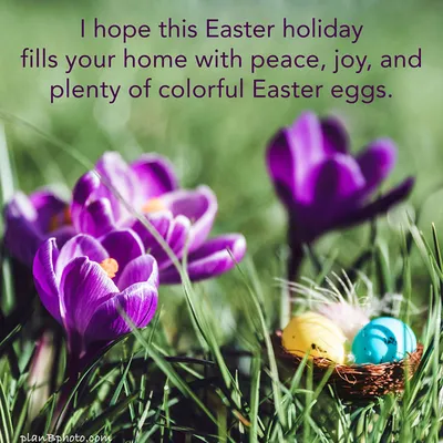 ᐉ Easter: Поздравление с Пасхой на английском языке — Английский по скайпу