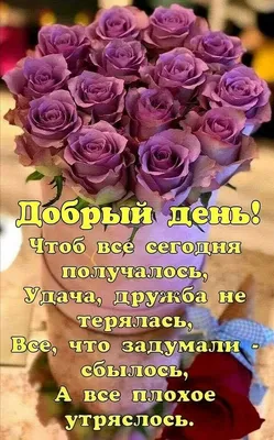 Добрые пожелания на каждый день | Любовь и романтика | Дзен
