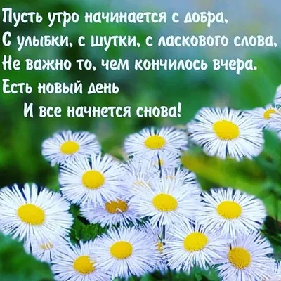 Поздравления с днем рождения для самых близких: проза и открытки - МЕТА