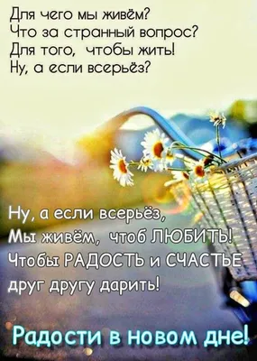 Картинки \"С Днем Рождения!\" бесплатно (12262 шт.)