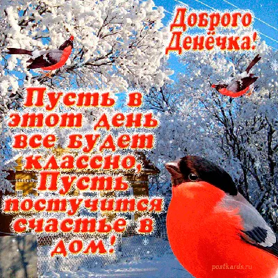 Открытки, картинки, гифки и пожелания доброго дня! Открытка Добрый день!  Картинка с красивым мишкой... | Страница 1