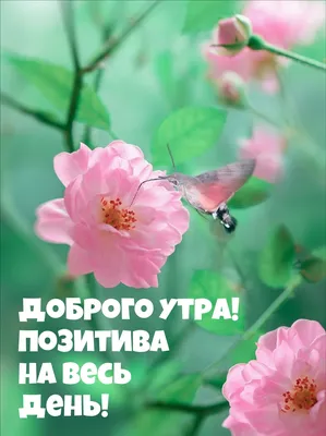 30 по-настоящему добрых и вдохновляющих фотографий, заряжающих