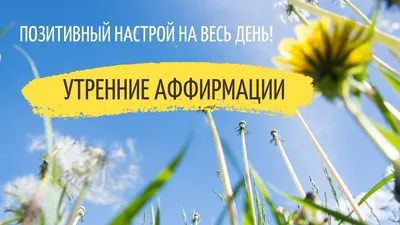Анекдоты.. Смех утром позитив на весь день 😋😀😉 | Евгений Коротков | Дзен