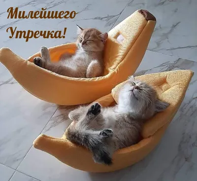 Анекдоты.. Смех утром позитив на весь день 😋😀😉 | Евгений Коротков | Дзен