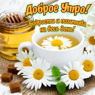 Тетради BG \"Твой позитив\": хорошее настроение на весь день!