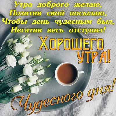 Картинки для позитива на весь день