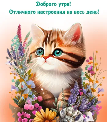 10 простых способов зарядиться позитивом на весь день - Средняя школа № 2  г. Могилёва