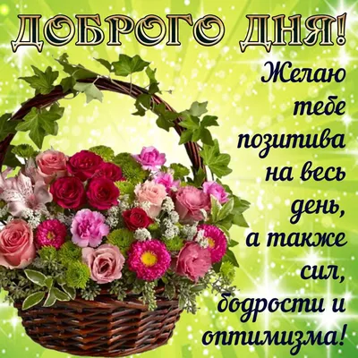 25 классных анекдотов и шуток! Заряд позитива на весь день | Веселые  картинки, Смешные надписи, Счастливые картинки