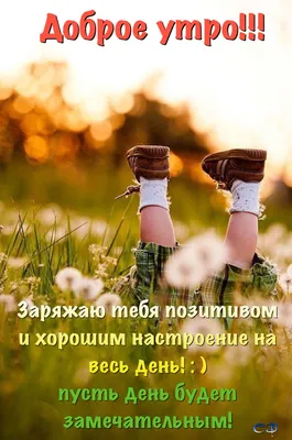 Позитивные картинки \"С Добрым Утром!\" (377 шт.)