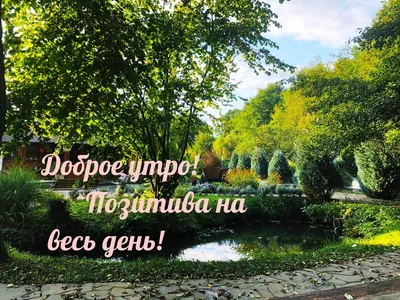 Открытки \"Доброго дня!\" и \"Хорошего настроения!\" (224 шт.)