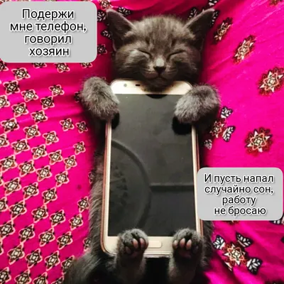Хм. Что пишется в блоге Портрет прекрасного фанки-позитивного ребенка  используйте ее мобильный телефон, читая отзывы думают, что Стоковое  Изображение - изображение насчитывающей красивейшее, волосы: 159589435