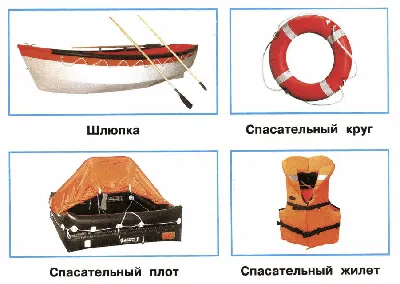 Картинки на пружинке. Мир человека. ИЗДАТЕЛЬСТВО ГНОМ 9370509 купить за 239  ₽ в интернет-магазине Wildberries