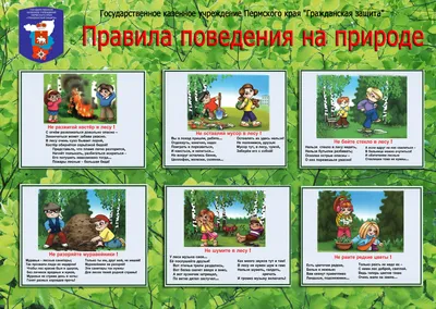 Плакаты \"Правила поведения на уроках физкультуры\" Издательство Учитель  8582989 купить за 62 500 сум в интернет-магазине Wildberries