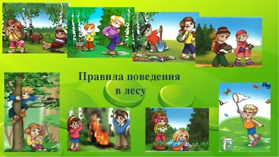 Комплект плакатов \"Правила поведения дошкольников во время физкультурных  занятий\": 4 плаката формата А3 с методическим сопровождением – купить по  цене: 201,60 руб. в интернет-магазине УчМаг