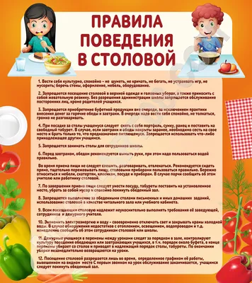 Правила дорожного движения