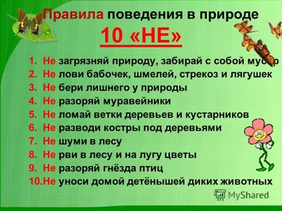 Наш класс - Правила поведения летом