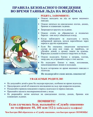Правила поведения на воде. Конспекты занятий, беседы, страница 17.  Воспитателям детских садов, школьным учителям и педагогам - Маам.ру
