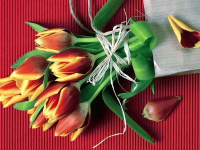 Подарочный букет на 8 марта , важные события и праздничные картинки,  красивые фото и обои с праздниками для рабочего стола, Full HD 1920