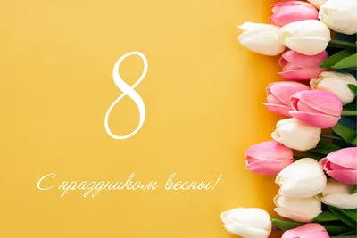 Обои на рабочий стол Праздничные весенние розовые тюльпаны, 8 марта, обои  для рабочего стола, скачать обои, обои бесплатно