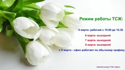 График работы в праздничные дни. Поздравляем с 8 марта!