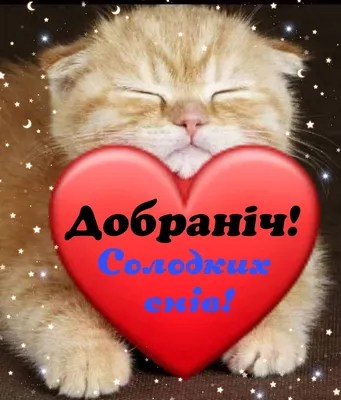 Добраніч | Romantic wedding decor, Good night, Romantic