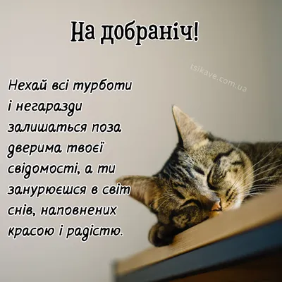 Побажання #Добраніч #Листівка #Котик #funny #lystivky_vitannya | TikTok