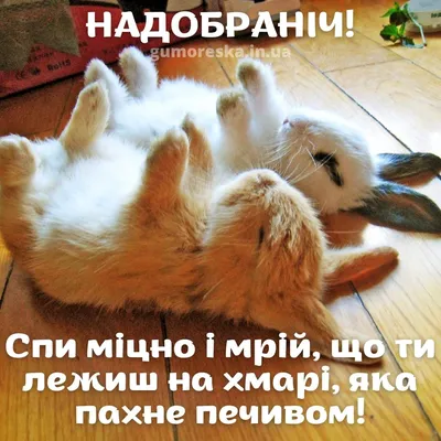 Наталья Савон (natashasavon19791998) - Profile | Pinterest