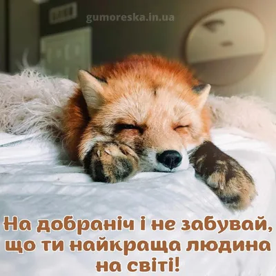 Публикация #89 — Листівки на кожен день (av9XvpzTz0s0ZDY6)