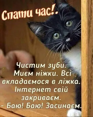НА ДОБРАНІЧ! 🌛 Темна нічка за вікном,... - Соломія Українець | Facebook