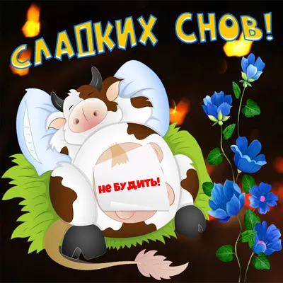 Картинки На добраніч: фото і листівки для побажання солодких снів - Радіо  Незламних