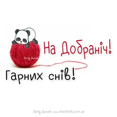 Прикольні картинки на добраніч скачати безкоштовно