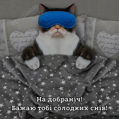 Побажання на добраніч — картинки українською, вірші, проза, коханим і  друзям — Укрaїнa