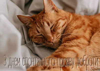 На добраніч, коханий: побажання та листівки!