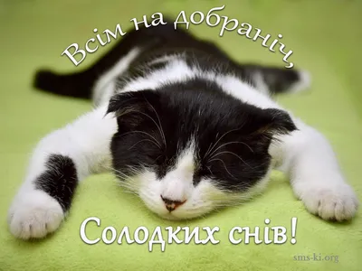 Добраніч