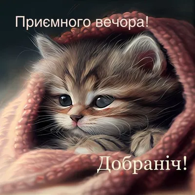 На добраніч, гарних снів! картинки (для близьких та друзів)