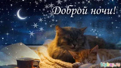 На добраніч, гарних снів! картинки (для близьких та друзів)