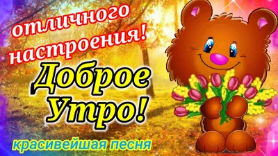 На добраніч картинки: прикольні, красиві, для чоловіків і жінок