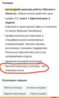Синдзи и енот / смешные картинки и другие приколы: комиксы, гиф анимация,  видео, лучший интеллектуальный юмор.