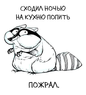 Енот прикольный рисунок - 79 фото