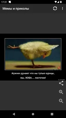 Прикольные картинки на андроид фотографии