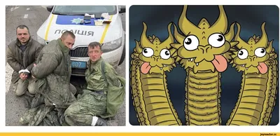 Острый Перец :: разное / картинки, гифки, прикольные комиксы, интересные  статьи по теме.
