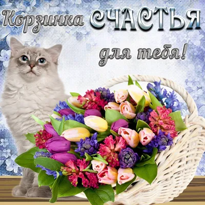 Аватарки для женщин на Ватсаб (60 картинок) 🌟
