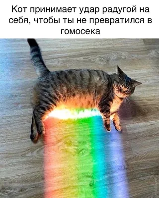 Симпатичные картинки на аву для девушек в вк и одноклассники • Прикольные  картинки и позитив