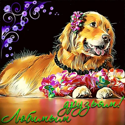 Прикольные аватарки в Одноклассники и ВК (70 картинок) 🤣 WebLinks