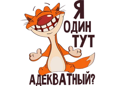 Прикольный кот с картами за игральным столом — Картинки и аватары
