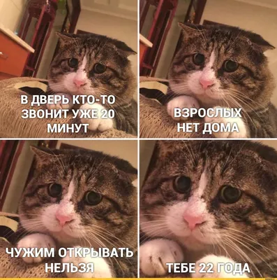 Прикольная табличка Добро пожаловать, чувствуйте себя как дома, можете  пропылесосить, на дверь, вход, в подарок друзьям, металл, 20х30 см. , 20  см, 30 см - купить в интернет-магазине OZON по выгодной цене (537668668)