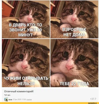 65х200 см Пленка на двери, наклейки на двери межкомнатные, прикольные  наклейки на дверь, пленка самоклейка на (ID#1527302503), цена: 569 ₴,  купить на Prom.ua